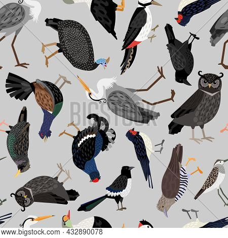 Seamless Vector Pattern With Cute Gray Birds