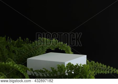 White Podium On The Black Background With Tropical Leaves. Podest For Product, Cosmetic Presentation