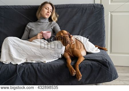Depressed Middle Aged Woman Avoid Social Contacts Stay Lonely At Home With Dog After Friend Betrayal