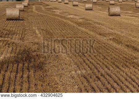 Stacks Of Straw - Bales Of Hay, Rolled Into Stacks Left After Harvesting Of Wheat Ears, Agricultural