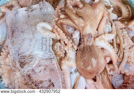 Still Life Close Up of Complete Raw And Fresh Octopus With Head Still On Melting Blocks of Ice with Copy Space (Selective Focus on eye and tentacles)