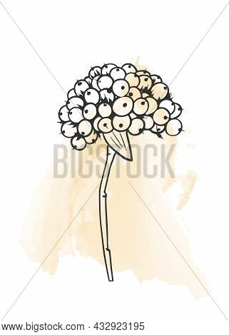 A Modern Universal Art Poster. Suitable For Greeting Cards,posters, Holiday Cards, Corporate Cards A
