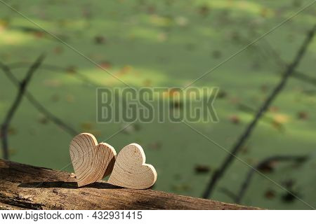 Wood, Straw, Texture, Pattern, Wicker, Tree, Circle, Brown, Basket, Hat, Object, Wooden, Rope, Woven