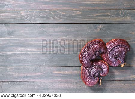 Ganoderma Lucidum Mushroom On Wooden Floor