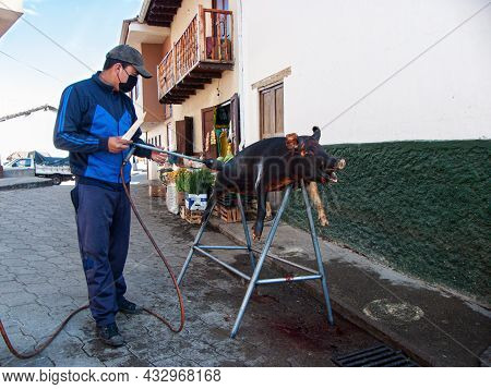 Nabon, Ecuador - September 5, 2021: Man Prepares Chancho Hornado Or Roasted Pig Which Is Typical Ecu