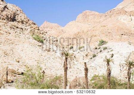 beautiful mountains