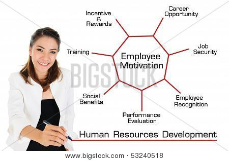 Human Resources Development Concept