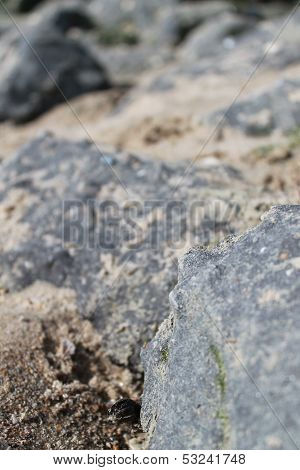 breakwater on the beach