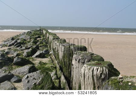 breakwater on the beach