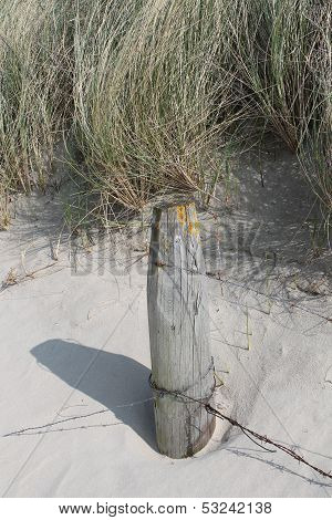 empty beach