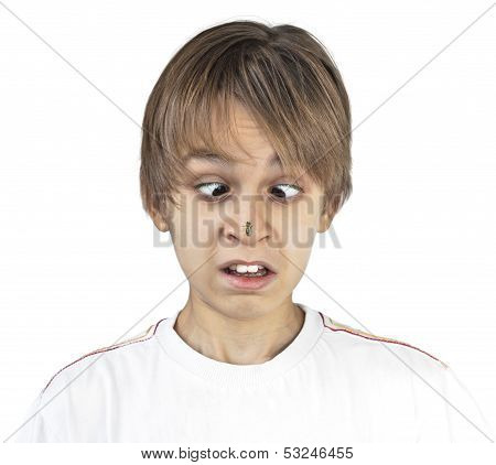 Boy And The Bee