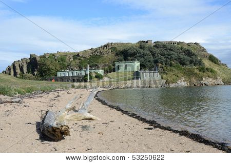 Log on Beach