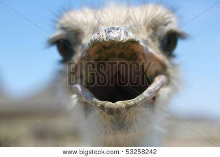 Ahhhh