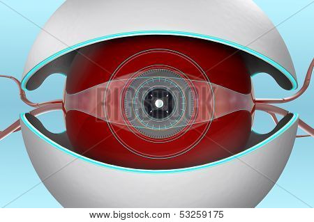 Camera Bot