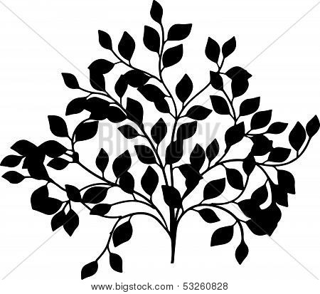 Ornamental Tree