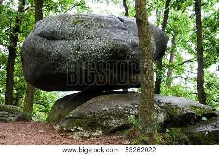 Large shaky stone in the forest
