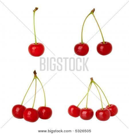 Surkirsebær