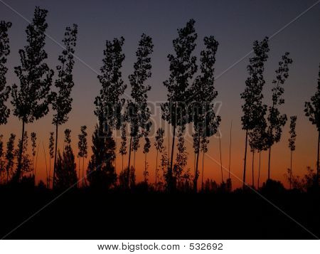 Zonsondergang op de boerderij