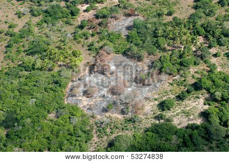 Slash-and-burn agricultural practice - cutting and burning of forests to create fields, Mozambique, southern Africa 