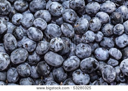 blueberry background