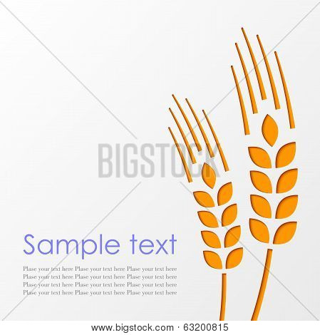 Wheat Background Eps10