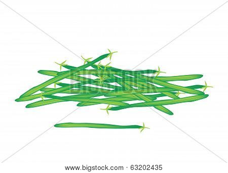 Delicious Fresh Green Beans On White Background