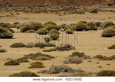 Stones And The Stiffened Volcanic Lava. Fantastic Landscapes At The Volcano Bottom To Teide