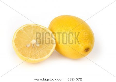 Lemos On White Background