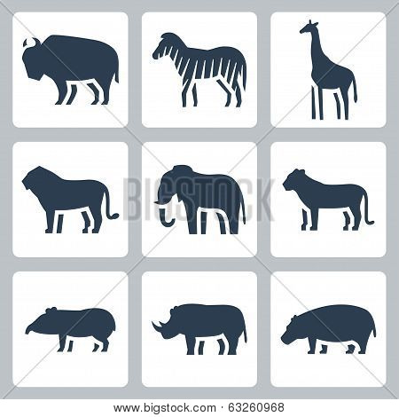 Vector Animals Of Tropical Zone Icons Set