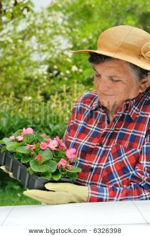 หญิงอาวุโส - การทำสวน