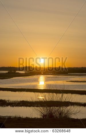Sunrise in early spring in the Biebrza National Park, Poland, Podlasie