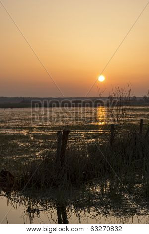 Sunrise in early spring in the Biebrza National Park, Poland, Podlasie