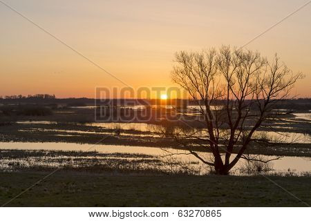Sunrise in early spring in the Biebrza National Park, Poland, Podlasie