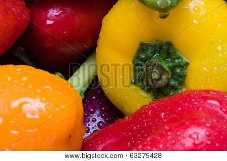 Color Vegitables Background