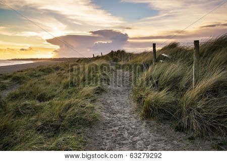 Blue Sky Summer Beach Sunset Landscape