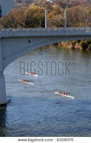 Šéf Hoochová veslování Regatta