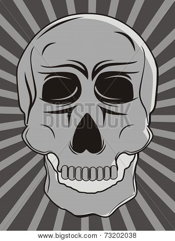 Skull