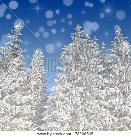 Christmas Background With Snow Covered Fir Tress