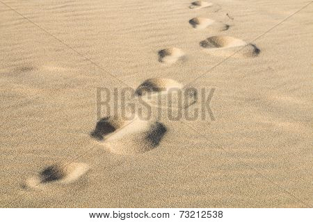 Footprints In The Sand, Fuerteventura