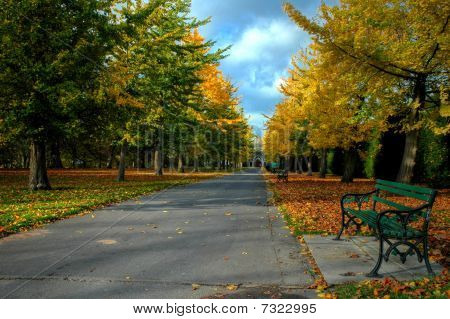 Bute Park