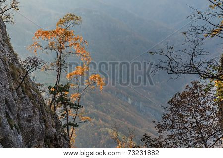 Mountain Landscape