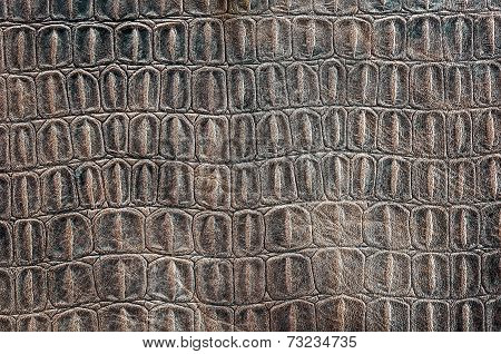 Turtle Carapace Pattern