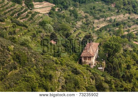 Countryside House