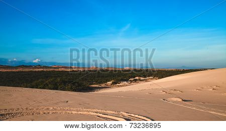 Dunes in Vietnam