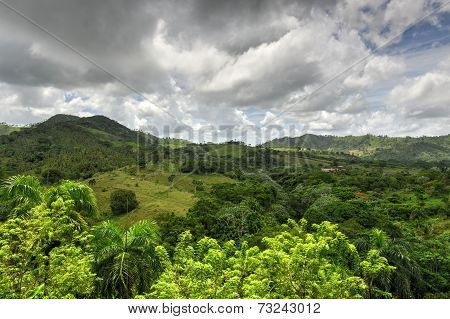 Tropical Forest, Dominican Republic