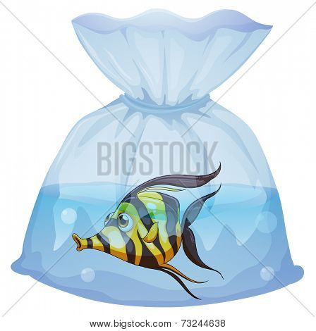 Illustration of a fish inside the plastic container on a white background