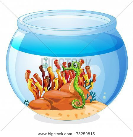 Illustration of an aquarium with a seahorse on a white background