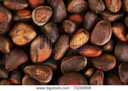 Pine nuts background