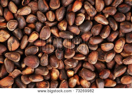 Pine nuts background