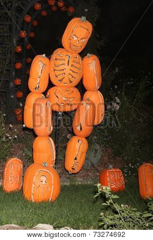 LOS ANGELES - OCT 4:  Carved Pumpkins at the RISE of the Jack O'Lanterns at Descanso Gardens on October 4, 2014 in La Canada Flintridge, CA